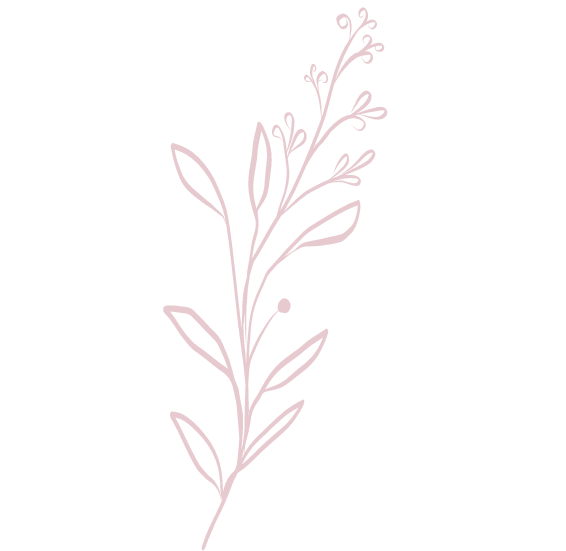 ornament-16